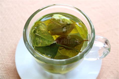 Drink Coca Leaf Tea for Preventing Altitude Sickness, Puno, Peru Stock ...