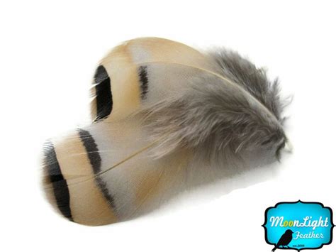 Chukar Feathers 1 Pack NATURAL CHUKAR PARTRIDGE Hen Feather - Etsy