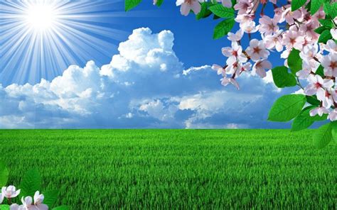 Beautiful Nature Spring Wallpapers - Top Free Beautiful Nature Spring ...