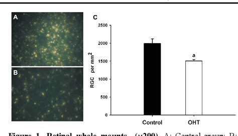 Figure From Histological Observation Of Rgcs And Optic Nerve Injury