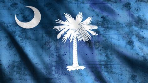 South Carolina State Usa Flag Animation With Seamless Loop Stock