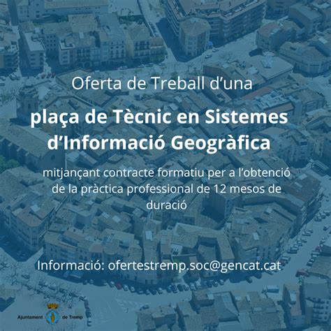 Oferta de Treball duna plaça de Tècnic en Sistemes dInformació