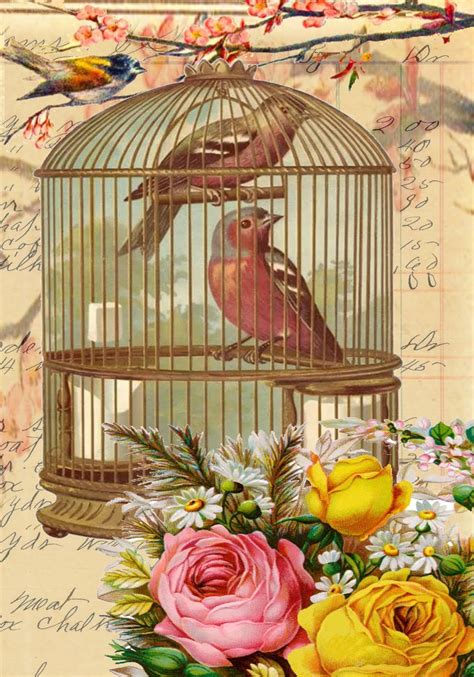 Flying Unicorn: Digital Design-Bird Cage