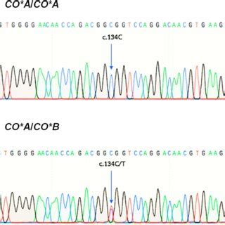 Electropherograms Of The Aqp Gene At The Co A And Co B Polymorphism