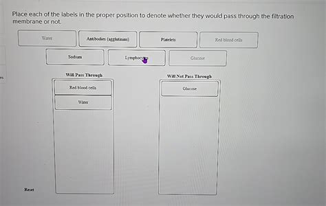 Solved Place Each Of The Labels In The Proper Position To