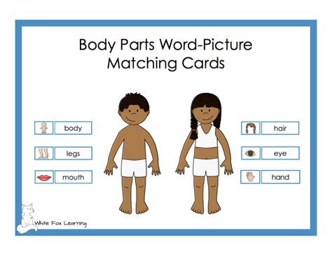 Body Parts Word Picture Matching Cards Digital Product White Fox