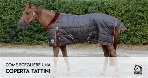 Tattini Italy – Tattini Boots for Riding