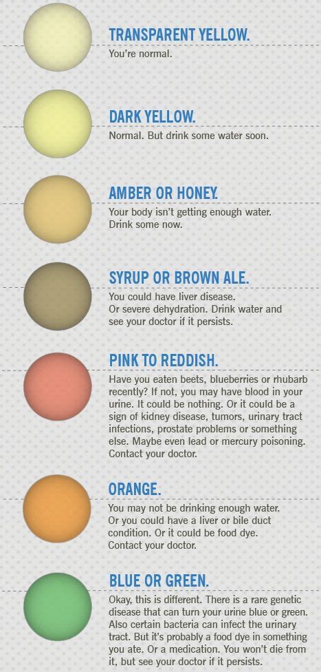 Urine Color Chart Meaning