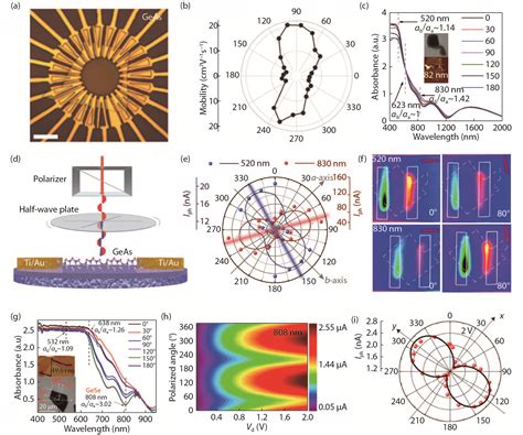 Optical And Electrical Properties Of Two Dimensional Anisotropic Materials