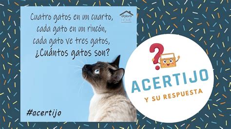 Acertijo Y Su Respuesta GATOS YouTube