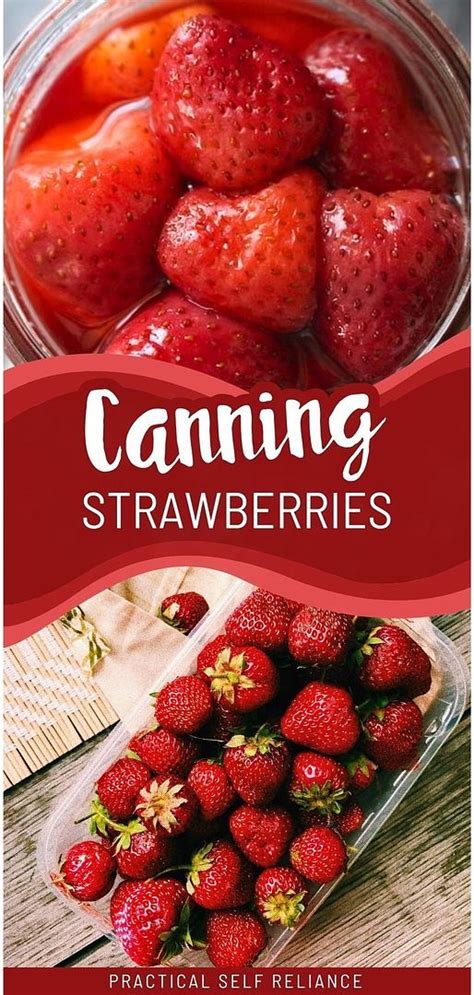 Canning Strawberries In 2024 Pressure Canning Recipes Canning Recipes Home Canning Recipes