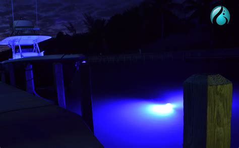 Lifeform led underwater dock light kits – Artofit