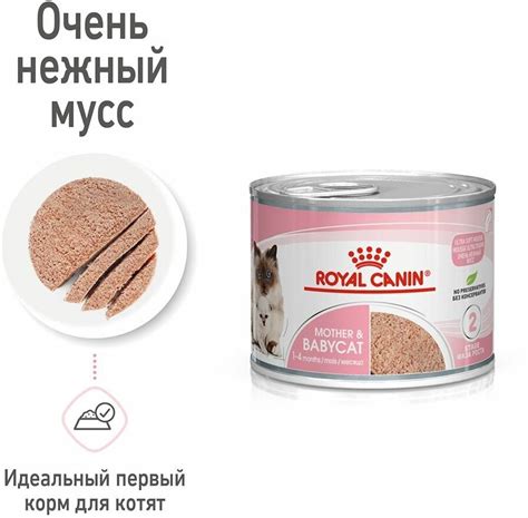 Влажный корм Royal Canin Mother & Babycat (Babycat Instinctive canned ...