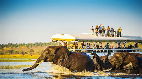 A Journey Through Botswana And Victoria Falls Indus Travels