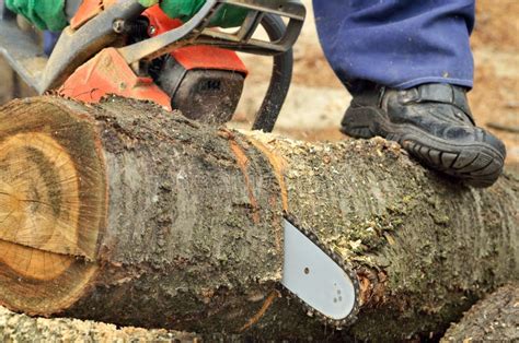 Detail of the Chainsaw Cutting the Wooden Log Stock Image - Image of ...