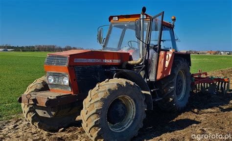 Foto Ci Gnik Zetor Id Galeria Rolnicza Agrofoto