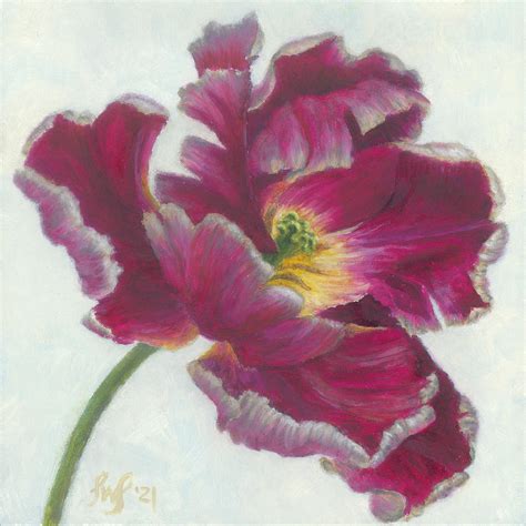 Fuschia And White Open Parrot Tulip Painting By Lori Wallace Lloyd