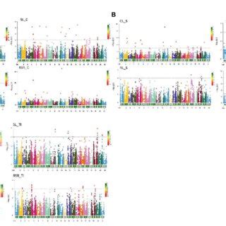 A Manhattan Plots Showing Significant Qtn Quantitative Trait