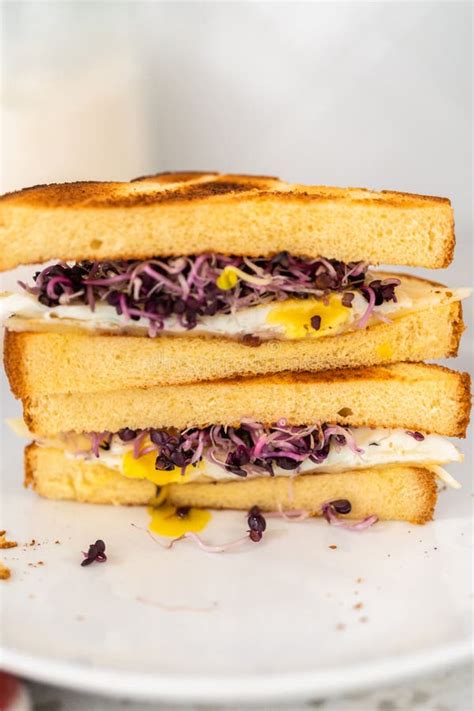 Breakfast Egg And Sprouts Sandwich Stock Image Image Of Loaf Sliced