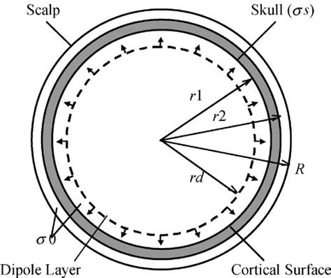 Schematic Illustration Of The Head Volume Conductor Source Model The