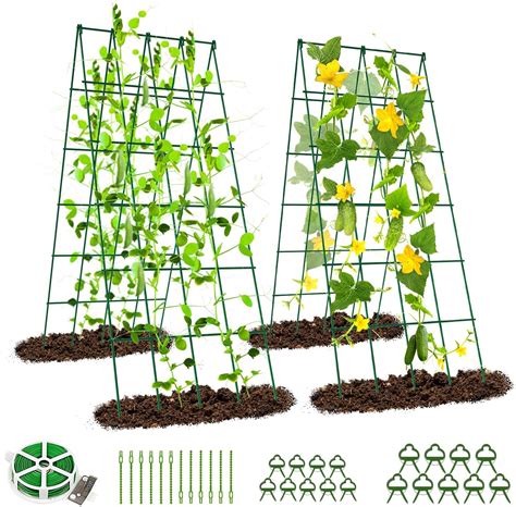 bellissa 1 Stück Gurken Gitter und Rankhilfe für Gurkenpflanzen und