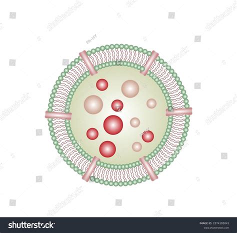 92 Hydrolytic Images, Stock Photos, 3D objects, & Vectors | Shutterstock