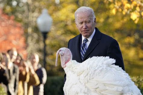 PHOTOS: President Biden pardons turkeys Peanut Butter and Jelly - WTOP News