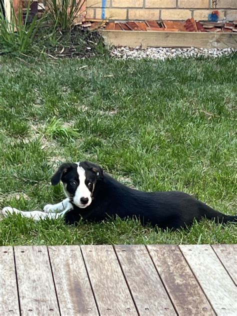 An unexpected update to the Glen Waverley train timetable 8