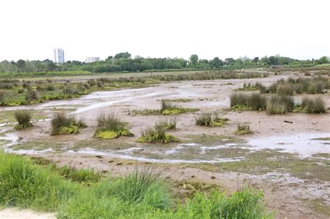 Arès Bassin dArcachon un septuagénaire séchappe dun Ehpad et est