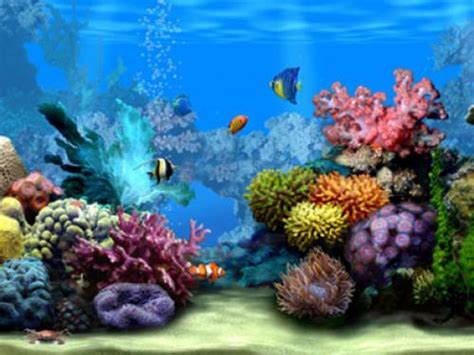 🔥 [50+] 3D Aquarium Wallpapers | WallpaperSafari