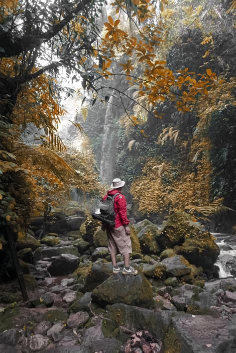 Curug Walet Surga Tersembunyi Di Taman Nasional Gunung Halimun Salak