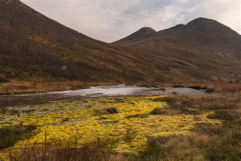 Spot of Moss | Mosdalen,Ørsta,Norway | Lars Ørstavik | Flickr