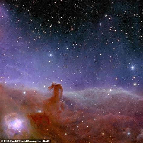 Nasas James Webb Captures Sharpest Images Yet Of Horsehead Nebula