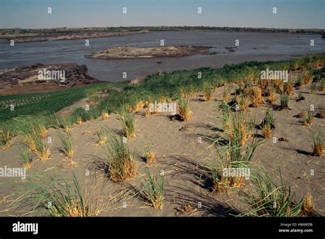 The Nile river near the Fourth Cataract, Sudan Stock Photo - Alamy