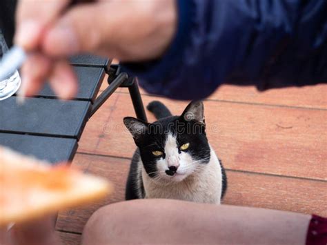 White Man Pussy Eating Black Girl Stock Photos Free Royalty Free Stock Photos From Dreamstime