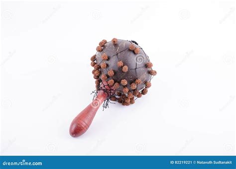 Cabasa Rhythm Music Instrument Stock Image - Image of percussion ...