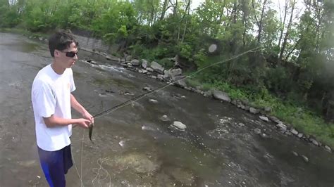 Fly Fishing For Smallmouth Bass In Cayuga Creek Youtube