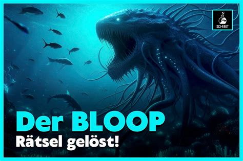 Der Bloop: Rätsel um mysteriöses Ozean-Geräusch gelöst!