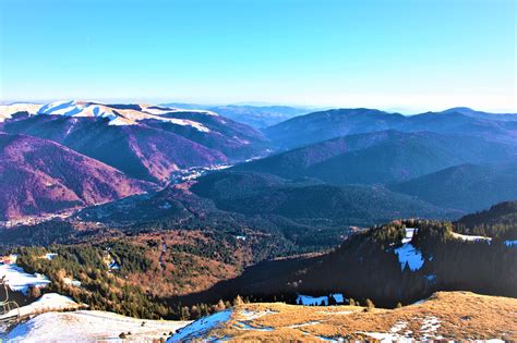 Romania Mountains Forest - Free photo on Pixabay - Pixabay