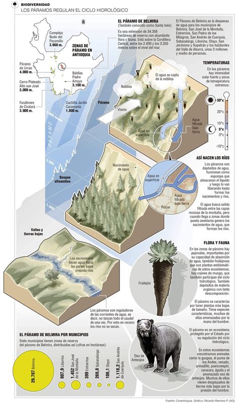 Pin En Infografías El Colombiano