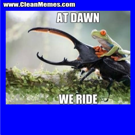 Crab Memes – Clean Memes