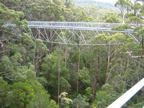 Valley of the Giants Tree Top Walk, Walpole, Western Australia ...