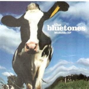 The Bluetones Lyrics, Songs, and Albums | Genius