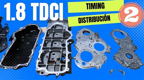 VIDEO TUTORIAL Correa Húmeda Ford 1 8 Tdci Distribución Banda de