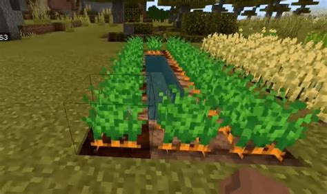 How To Get Carrots In Minecraft Minecraft Carrot Farm