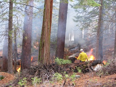 Fire In Yosemite Fire Facts Wildfire News And Resources