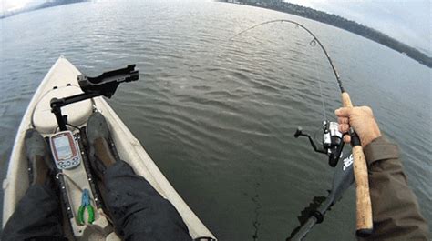 Fishing GIF - Find & Share on GIPHY