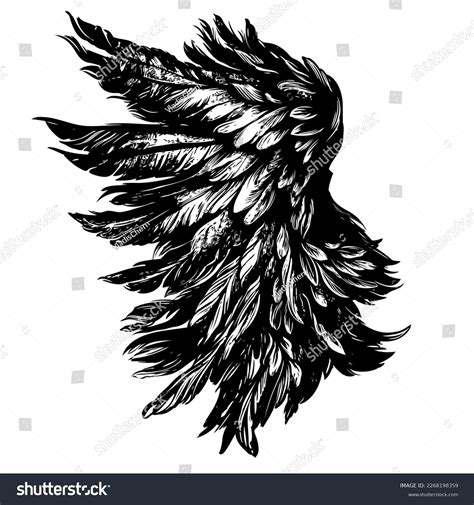 Angel Wings Bird Wings Collection Cartoon Stock Vector (Royalty Free ...