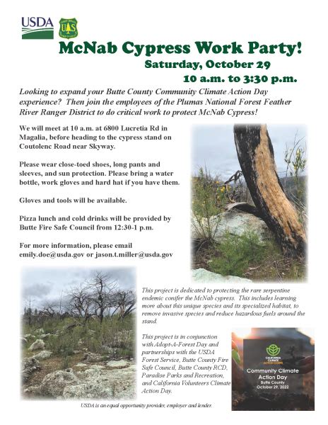 Adopt A Forest Buttefiresafe Net