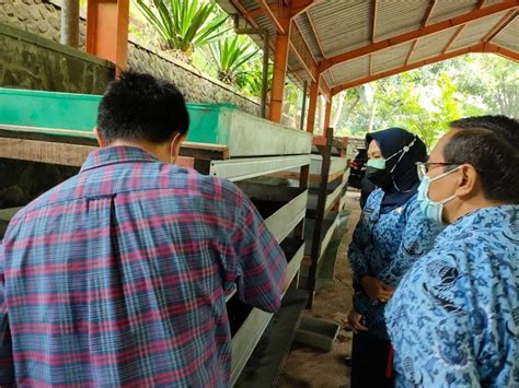 Pemkot Batu Manfaatkan Larva Lalat Tentara Hitam Tangani Sampah Organik